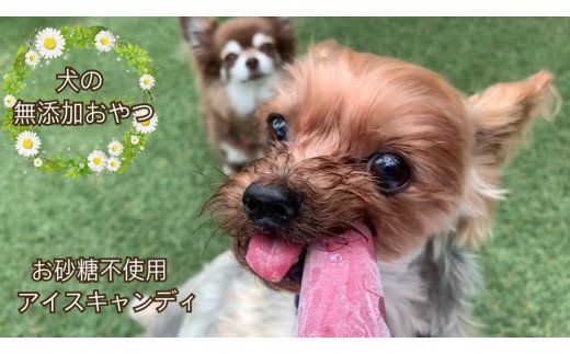 FB137 　【5月～9月発送】犬の無添加おやつ☆お砂糖不使用無