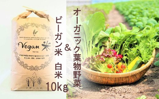 CQ023 オーガニック葉物野菜セットとビーガン白米10kg【植物