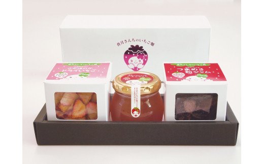 BG209　さがほのか　いちごのキューブセット【ギフトセット