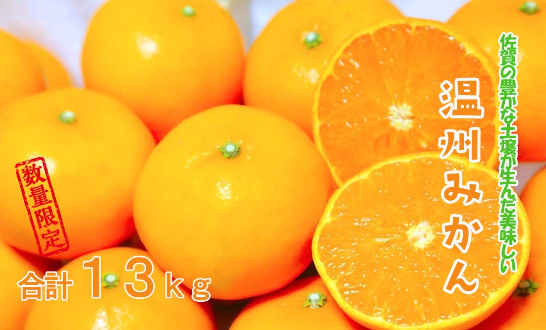 DY097_【今だけ!!限定10セット】温州みかん 13kg
