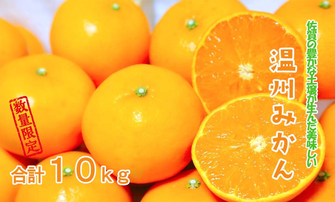 DY099_【今だけ!!限定10セット】温州みかん 10kg
