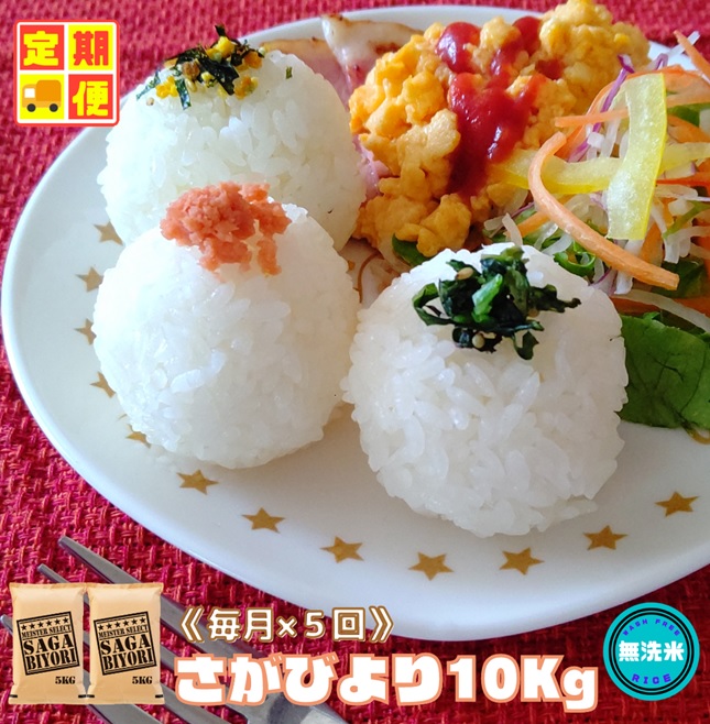 CID54_【５回定期便】無洗米さがびより１０ｋｇ（５ｋｇ×２
