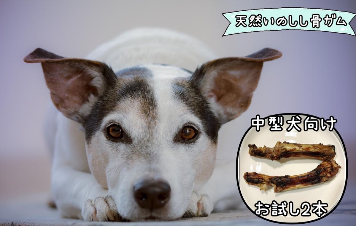FB131_【お試し2本】中型犬向け☆天然いのししの骨ガム