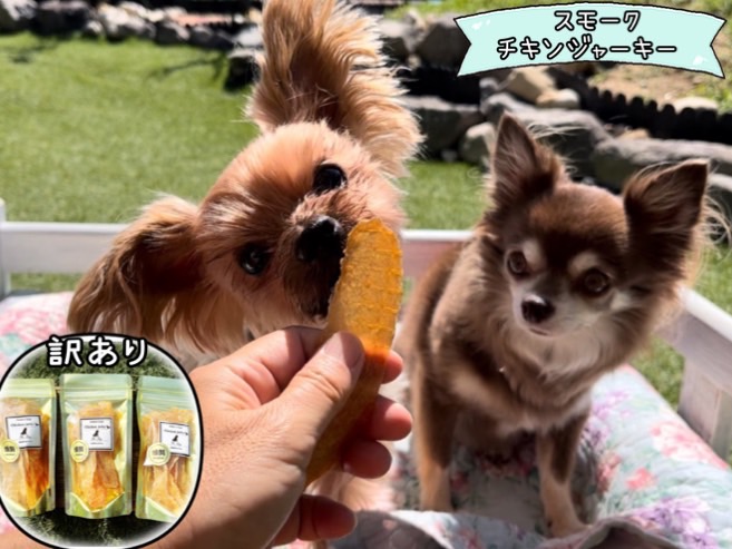 FB133_【訳あり】スモークの香りがたまらない☆スモークチ