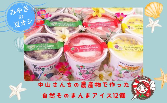 AE027_【お中元専用：7月中配送】中山さんちの農産物で作っ