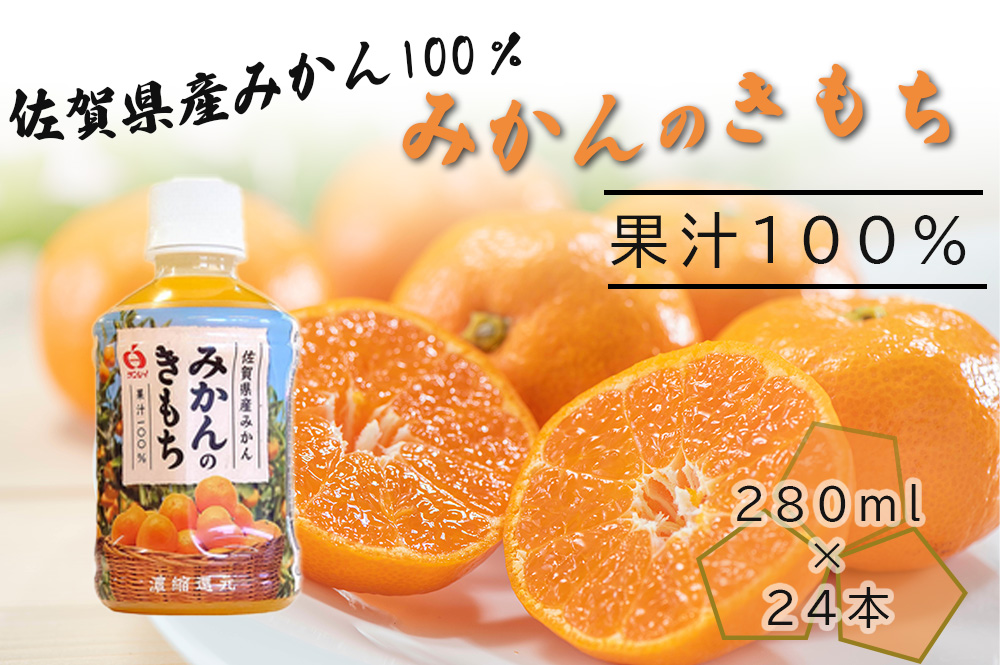 DV225_みかんのきもち　280mlペットボトルX24本入り