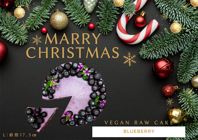 EG129_クリスマスケーキ☆腸や皮膚の健康を維持する栄養素