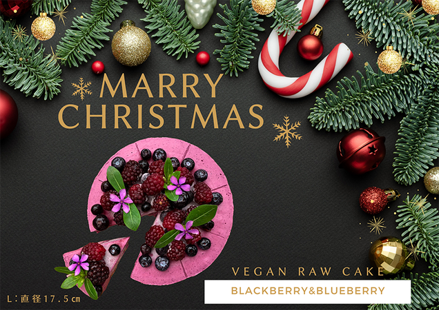 EG131_クリスマスケーキ☆腸や皮膚の健康を維持する栄養素