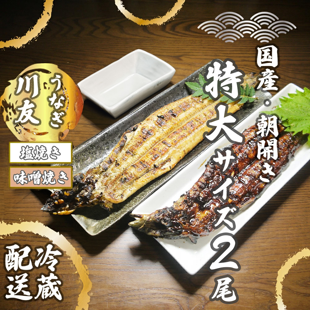 AK010_【冷蔵発送】朝開き国産うなぎ 当日発送２尾（1尾あた
