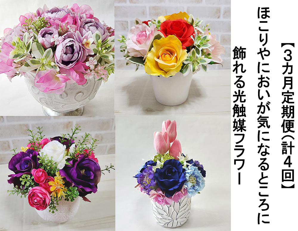 FH024_【3か月毎定期便（計４回）】ほこりやにおいが気にな