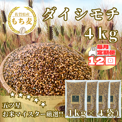CIC20_【１２回定期便】ダイシモチ４ｋｇ もち麦 キラリ も