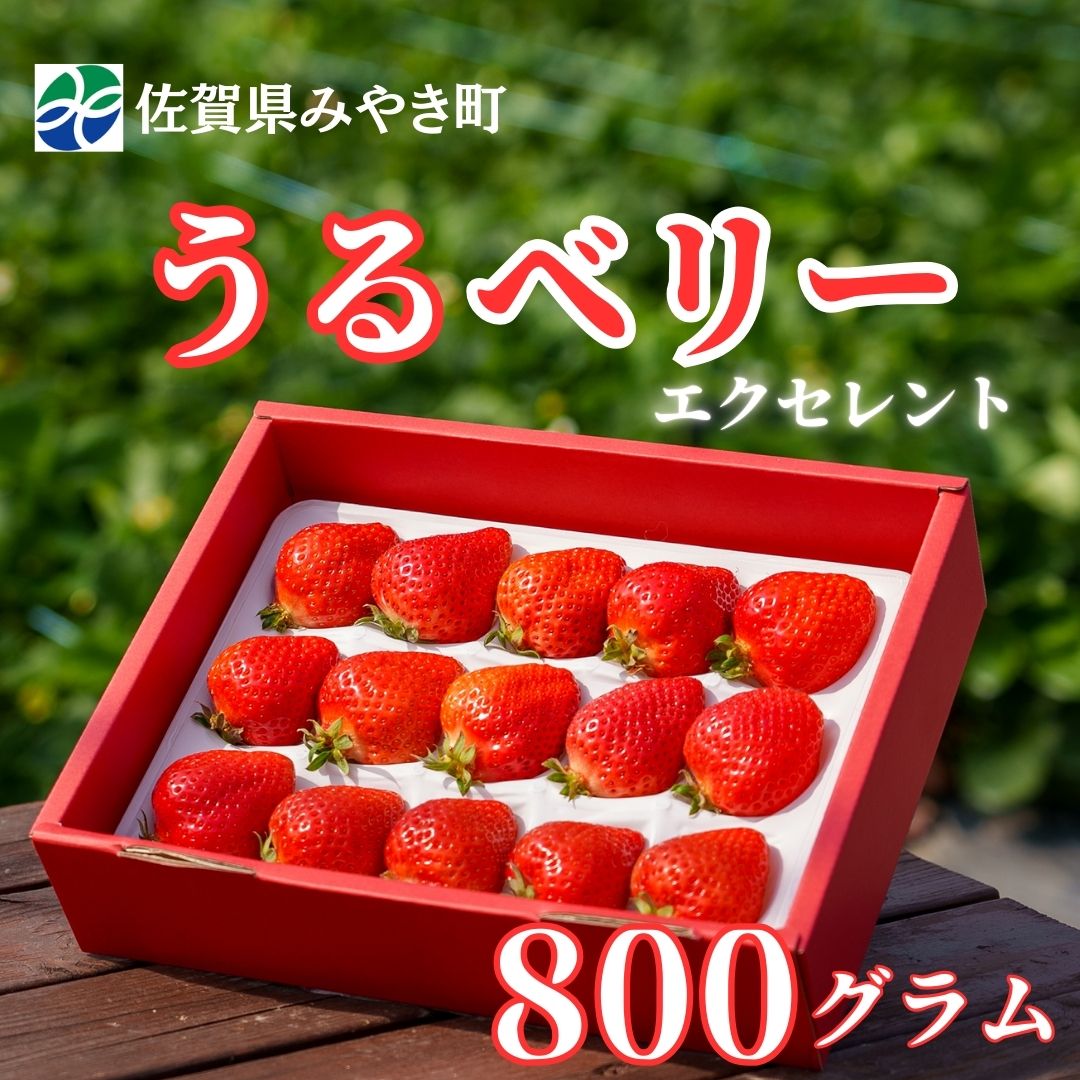 GF004_【2025年11月中旬～2026年4月発送】エクセレント800ｇ