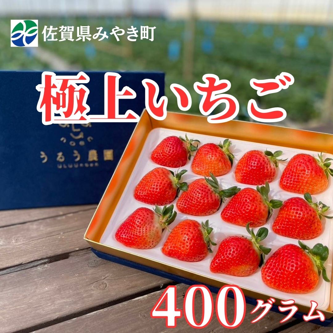 GF005_【2025年11月中旬～2026年4月発送】極上いちご 400ｇ