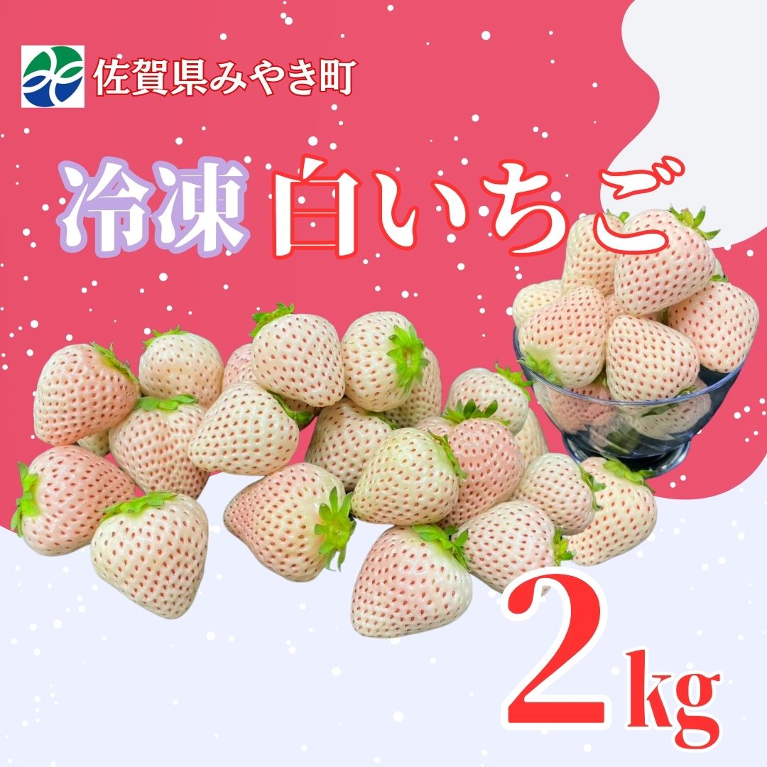 GF008_【2026年6月以降発送】冷凍白いちご２ｋｇ