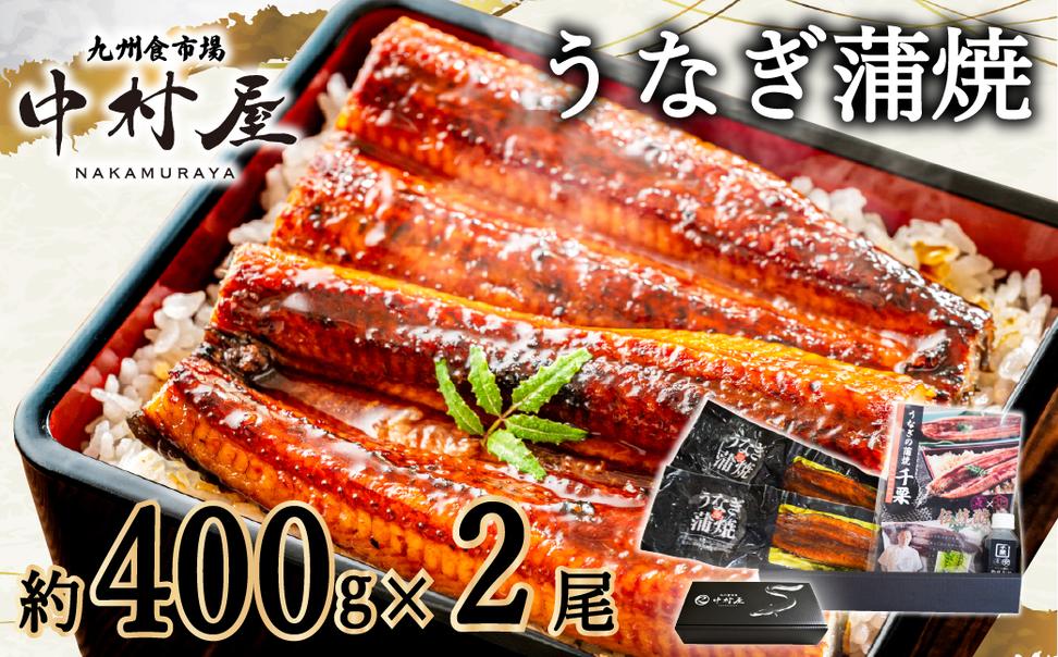 FM060_伝統酵母　うなぎの蒲焼　千栗　400g前後×2尾