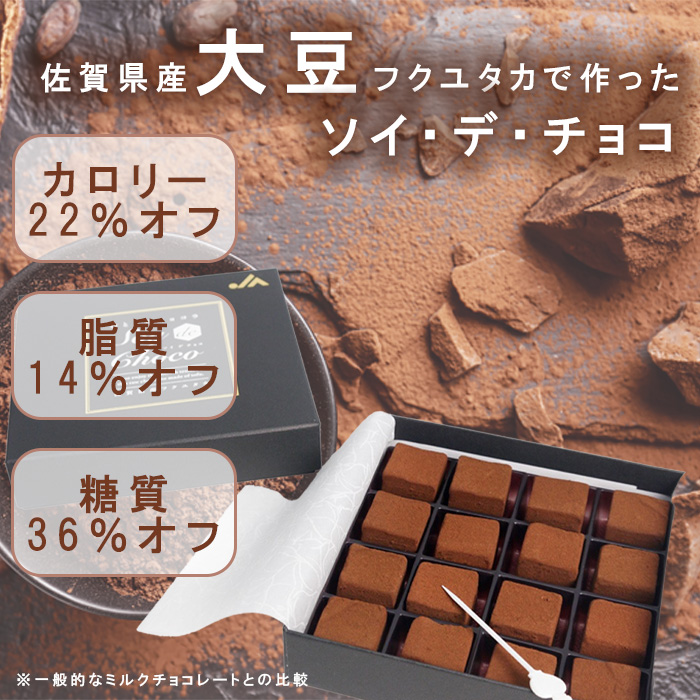 EG067_【10月～5月限定発送】ハイカカオRawチョコレート☆植物性100