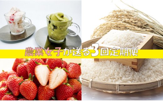 AE029_中山さんがお届けするこだわり農産物&加工品　年３回