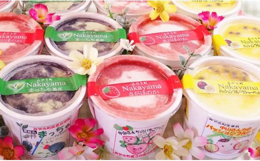 AE035_中山さんちの農産物で作った自然そのまんまアイス