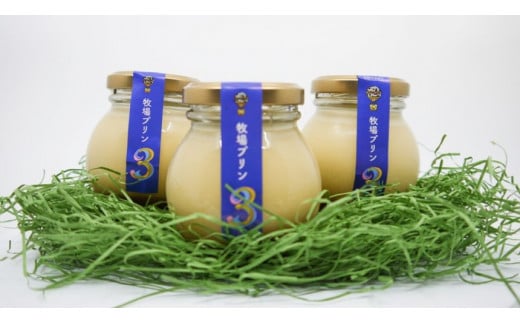 CK002　酪農家が本気で作った『牧場プリン”３”』６個★大