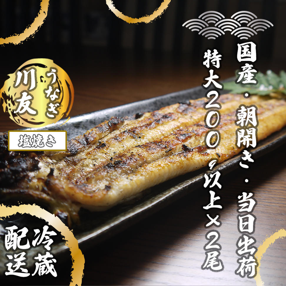 AK002_【冷蔵発送】朝開き国産うなぎ当日発送２尾（1尾あた