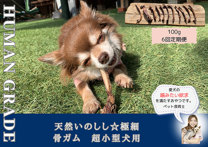 FB170_超小型犬向け☆天然いのししの骨ガム100g【定期便】全6