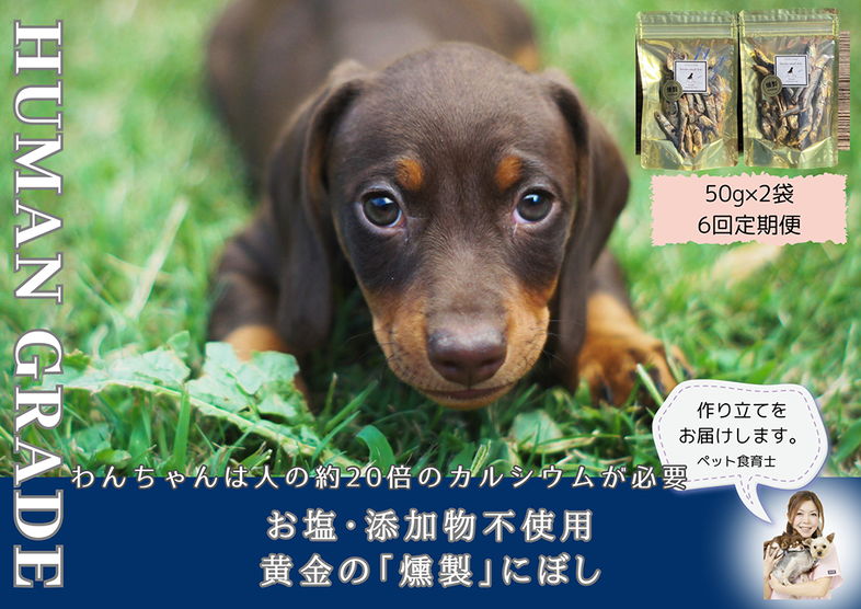 FB064 　犬と猫の無添加おやつ☆お塩不使用☆黄金の燻製に