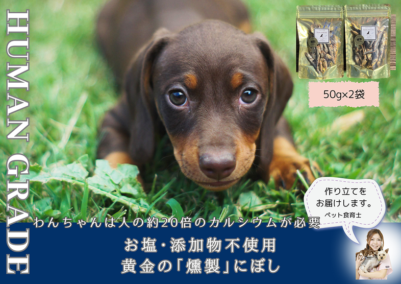 FB061  犬と猫の無添加おやつ☆お塩不使用☆黄金の燻製にぼ