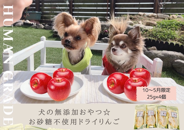 FB148　【10月～5月20日まで順次発送】犬の無添加おやつ☆お