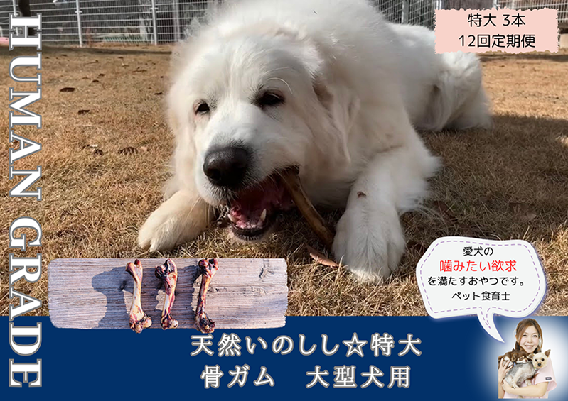 FB180_大型犬向け☆天然いのししの骨ガム3本【定期便】全12