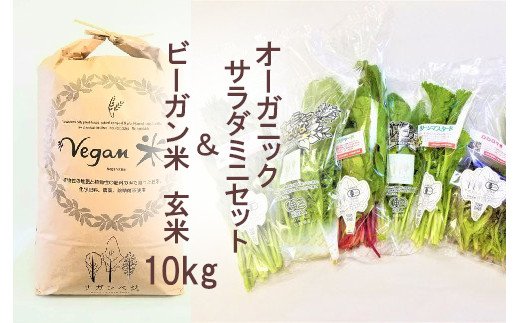 CQ026 オーガニックサラダミニセットとビーガン玄米10kg【植