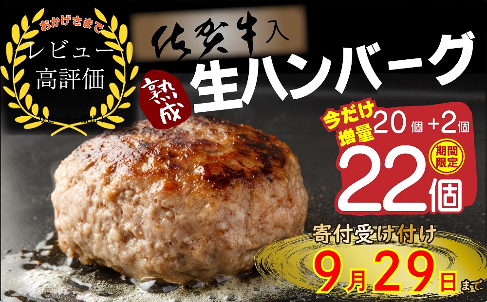 FM032_【最長半年待ちの大人気】佐賀牛入り熟成生ハンバー