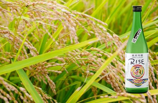 DV222 幸姫純米吟醸RISE 1.8L