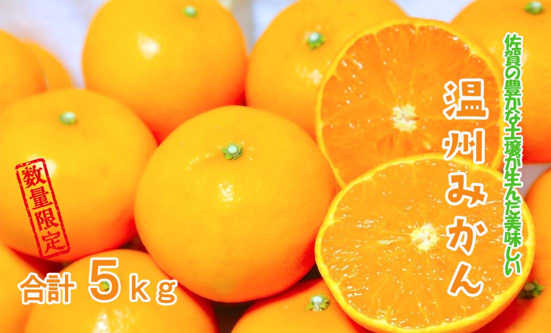 DY100_【今だけ!!限定10セット】温州みかん 5kg