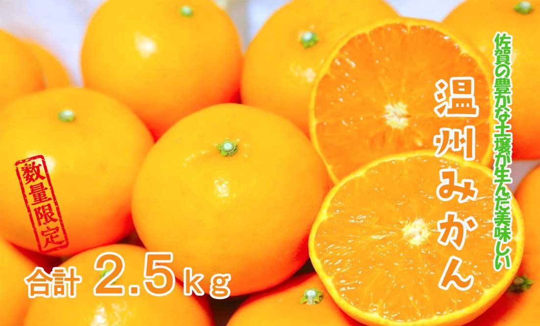 DY101_【今だけ!!限定10セット】温州みかん 2.5kg