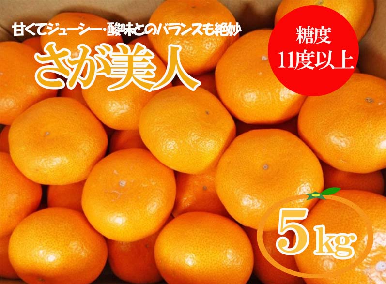 DY102_【今だけ!!限定40セット】さが美人5ｋｇ 糖度11度以上