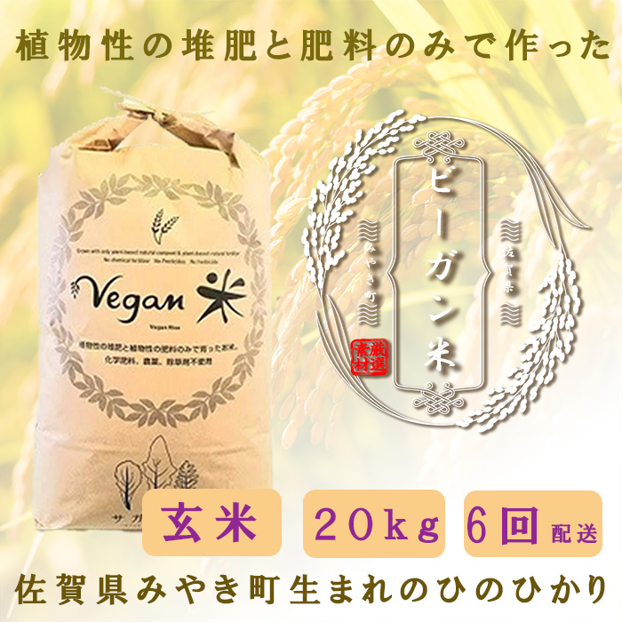 CQ033_【6か月定期便】ビーガン米20kg　玄米【植物性で育てた