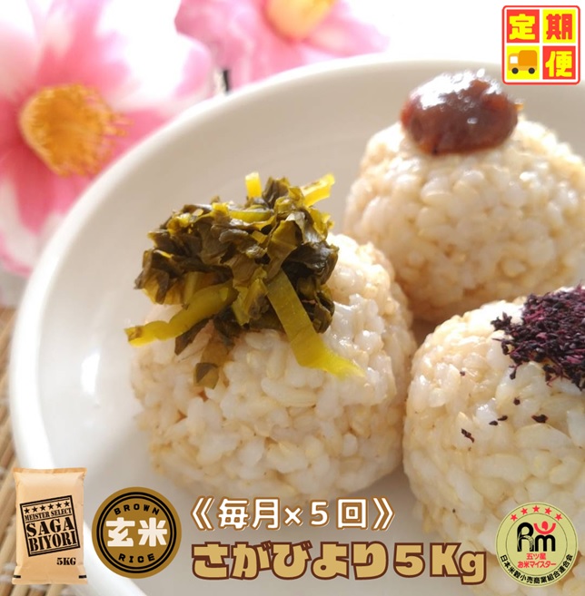 CID45_【５回定期便】さがびより【玄米】５kg 【五つ星お米