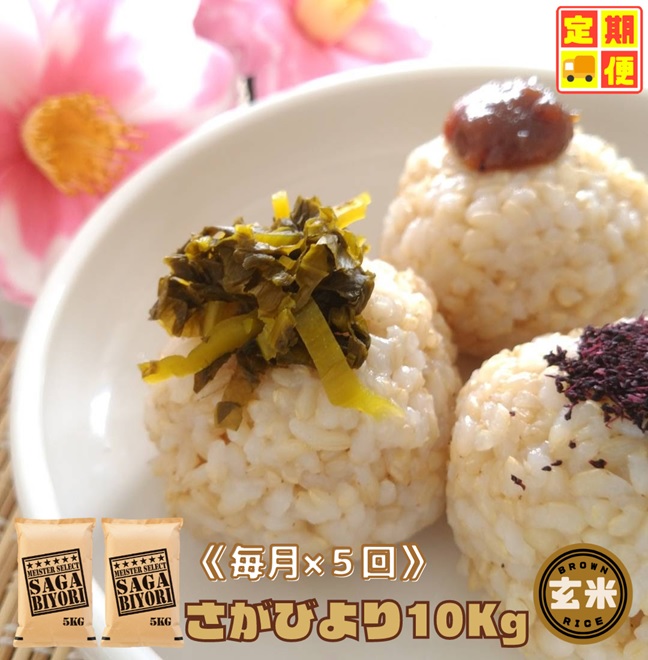 CID48_【５回定期便】さがびより１０kg【玄米】（５kg×２袋