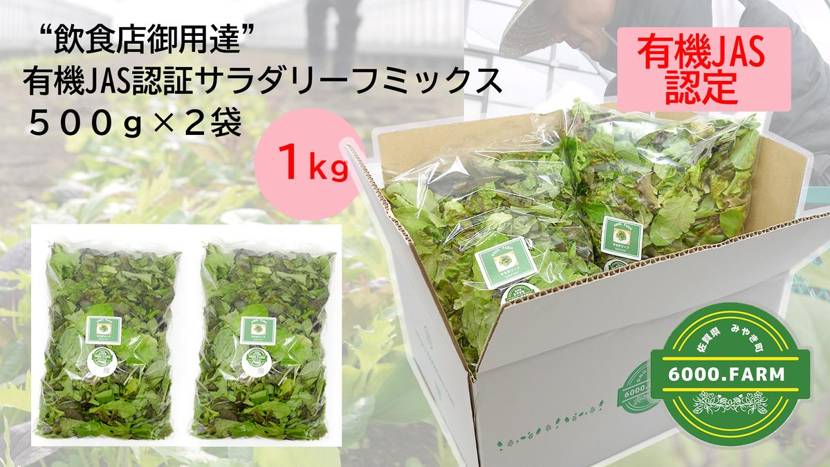 FV022_【飲食店御用達】有機JAS認証サラダリーフMix(500g×２袋