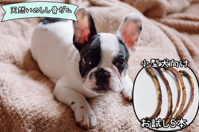 FB130_【お試し5本】小型犬向け☆天然いのししの骨ガム(細）