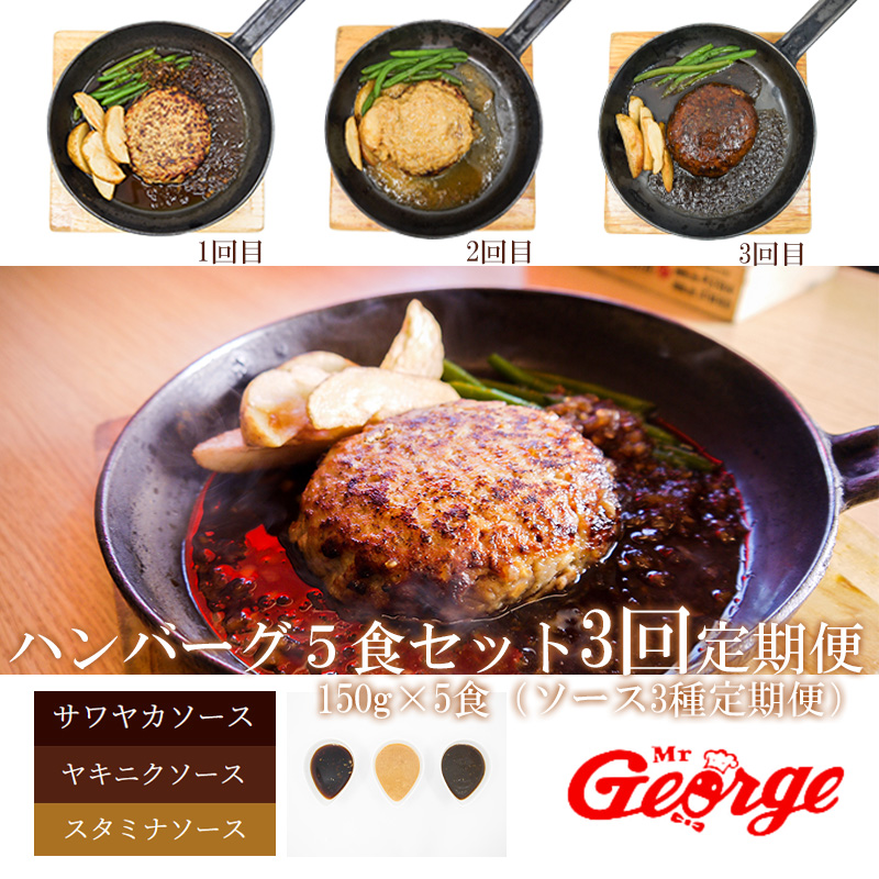 FT006_ジョージハンバーグ５食セット人気のソース３種類付