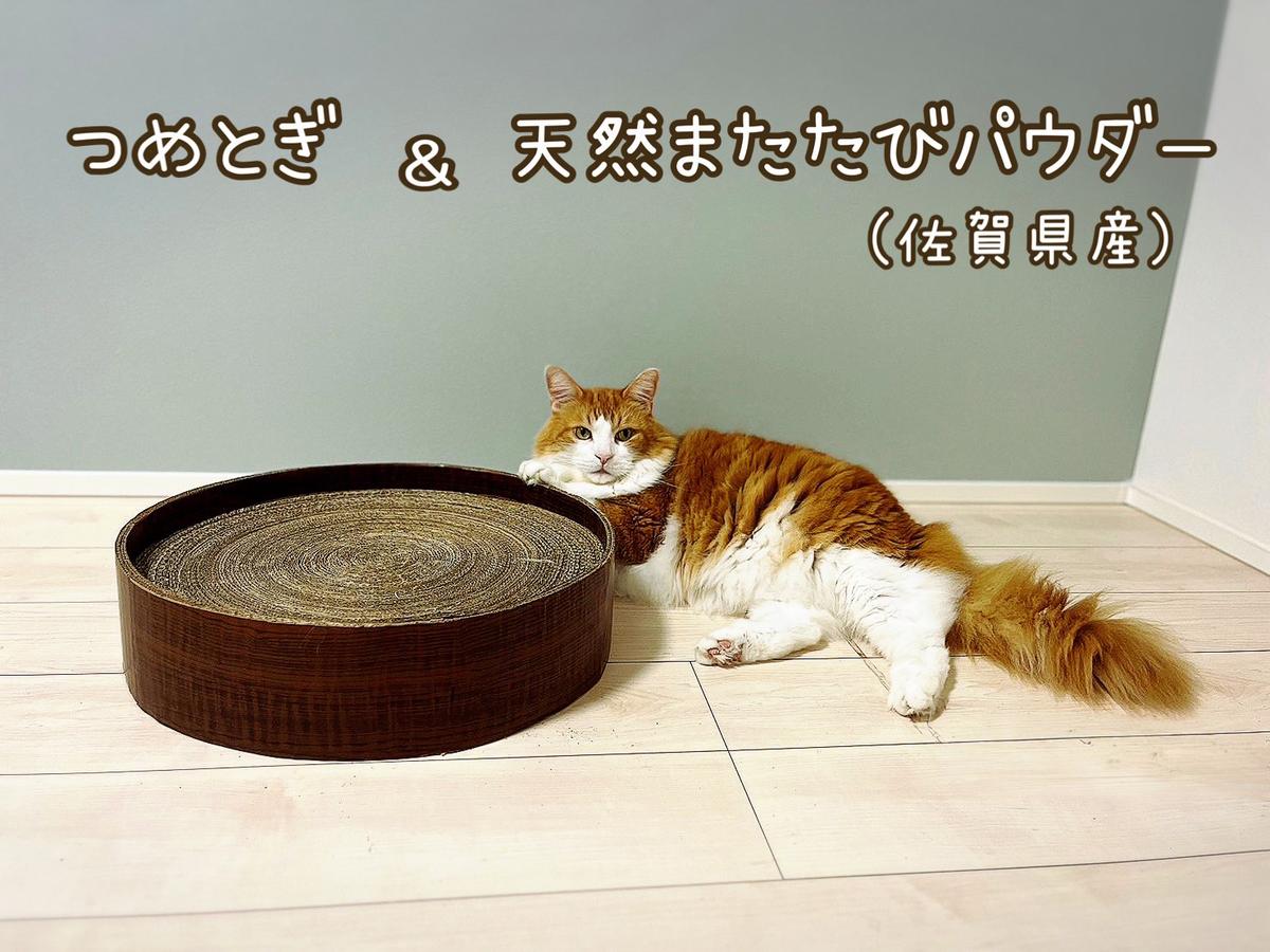 FB164_ねこちゃんストレス解消☆爪とぎサークル&天然100％ま