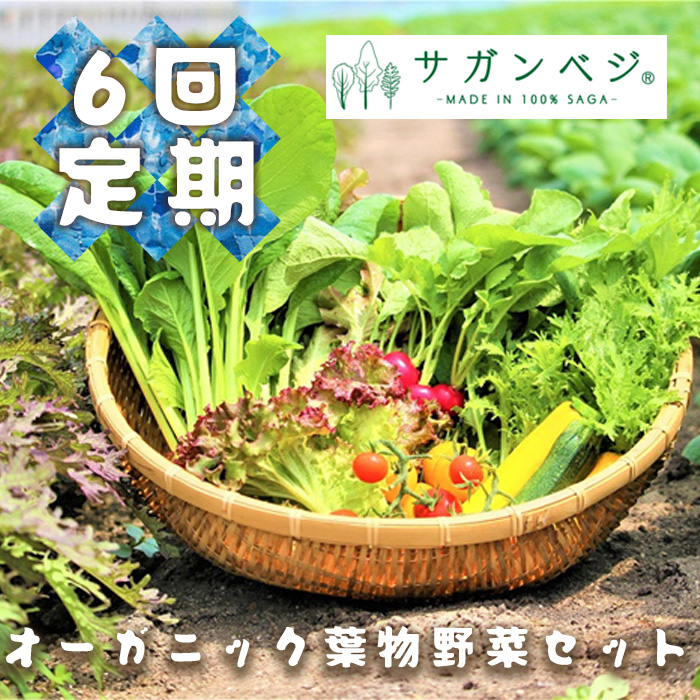 CQ036_【定期便】オーガニック葉物野菜セット【植物性で育