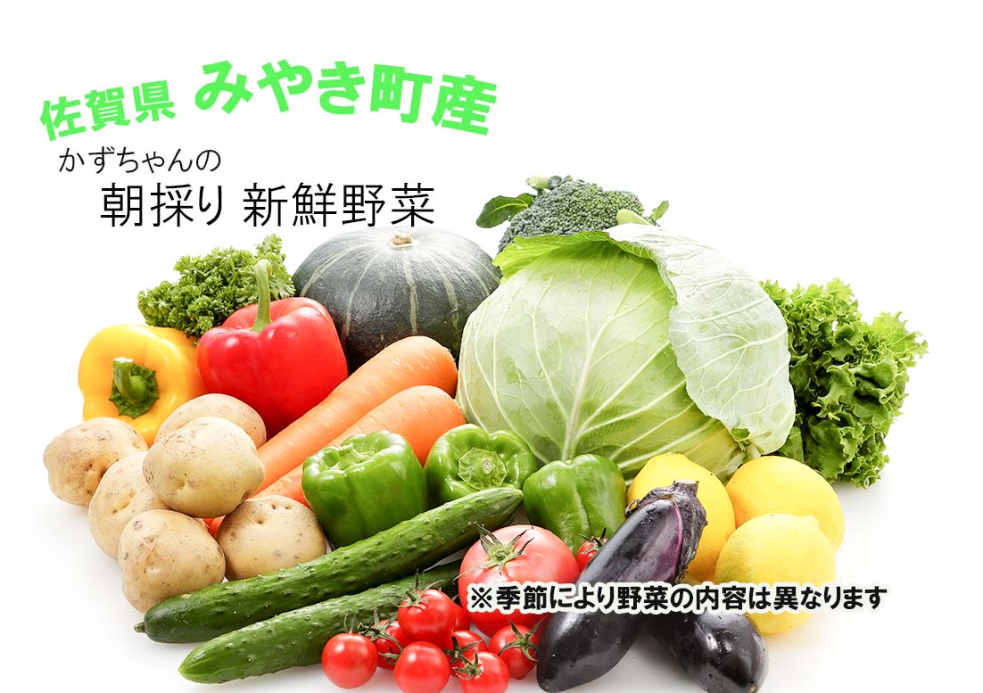 CC001_かずちゃんの朝採り新鮮野菜セット【みやき町産朝採