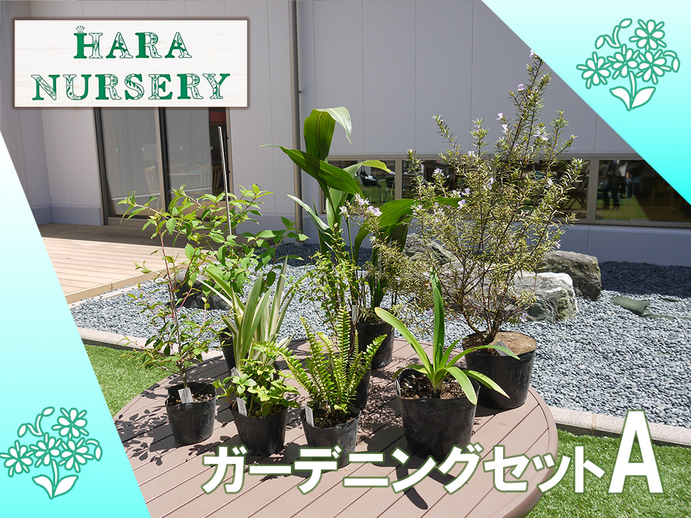 BS177_ガーデニングセットA　花 苗 植物 家庭菜園 花壇 プラ
