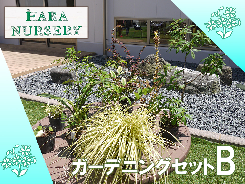 BS178_ガーデニングセットB　花 苗 植物 家庭菜園 花壇 プラ
