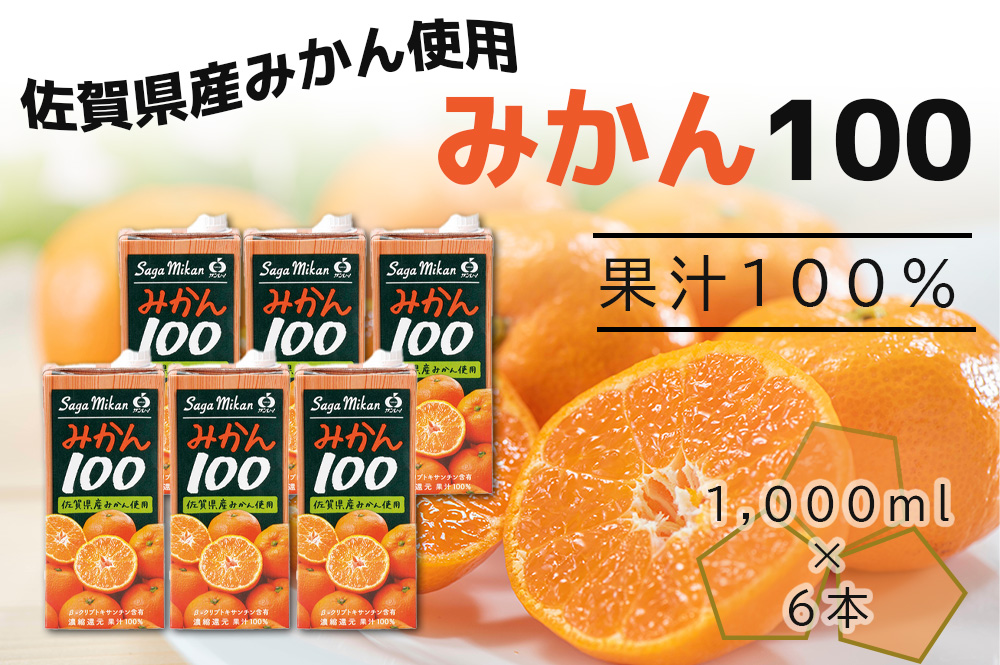 DV226_みかん100　1LX6本入り