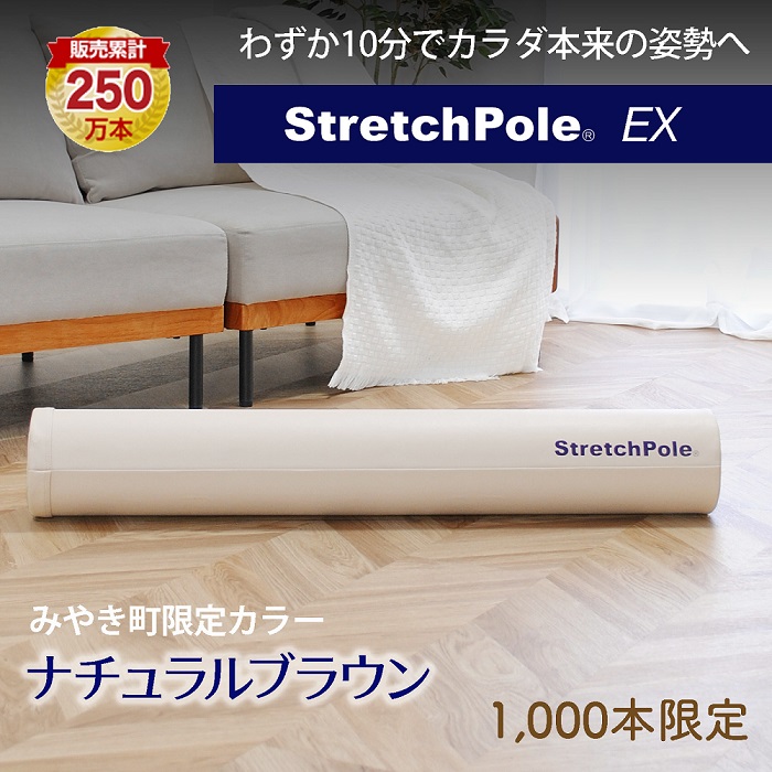 FI004_【限定色】「ストレッチポールEX」（LPN社製）一流アス