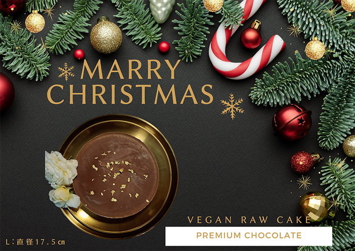 EG133_クリスマスケーキ☆腸や皮膚の健康を維持する栄養素