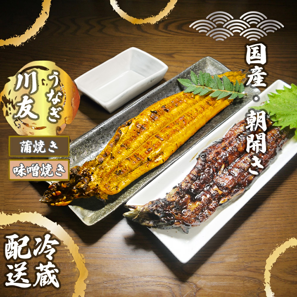 AK011_【冷蔵発送】朝開き国産うなぎ 当日発送２尾（1尾あた